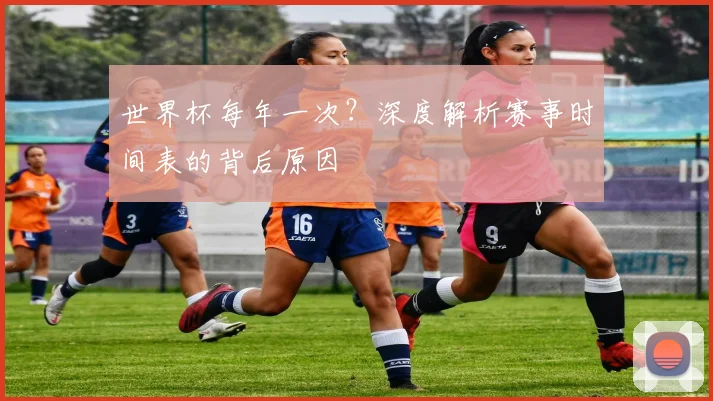 世界杯每年一次？深度解析赛事时间表的背后原因