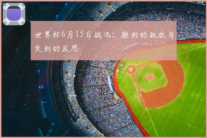 世界杯6月15日战况:胜利的狂欢与失利的反思