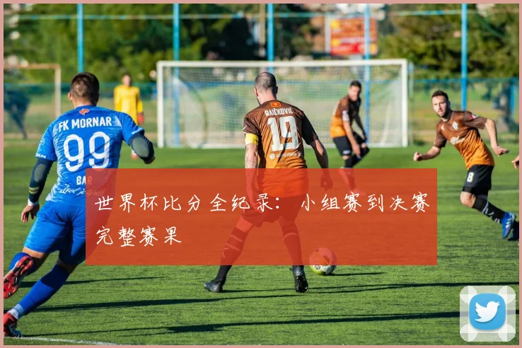 世界杯比分全纪录：小组赛到决赛完整赛果