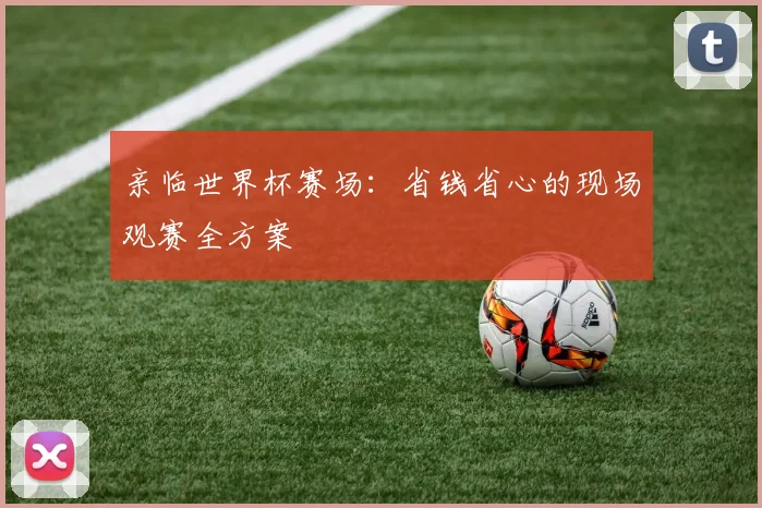 亲临世界杯赛场:省钱省心的现场观赛全方案