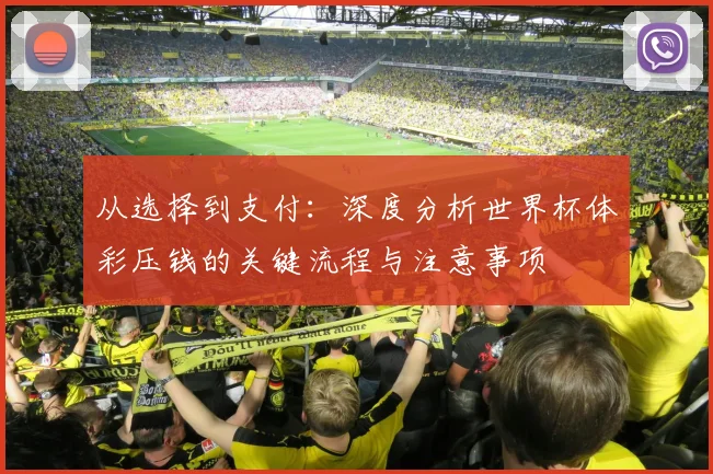 从选择到支付：深度分析世界杯体彩压钱的关键流程与注意事项