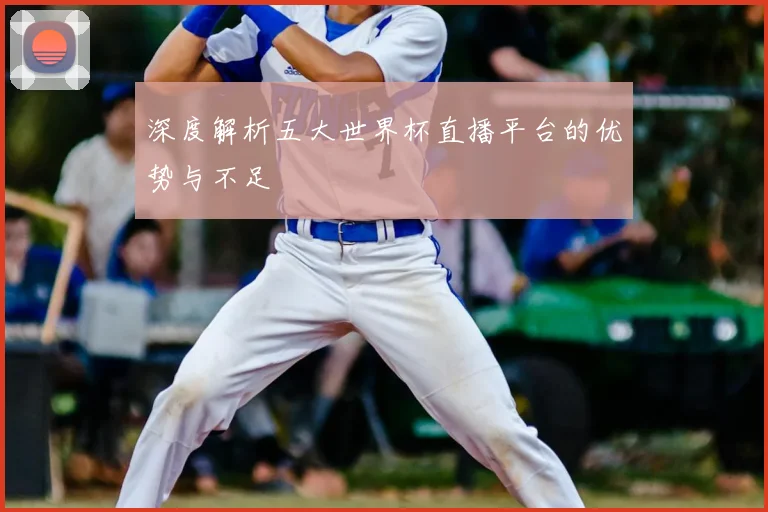 深度解析五大世界杯直播平台的优势与不足
