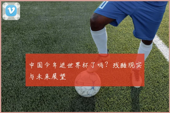 中国今年进世界杯了吗?残酷现实与未来展望