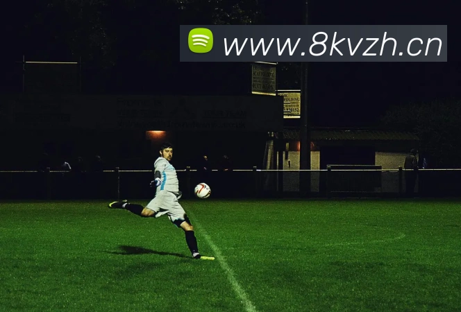 hth网页版官方入口平台生态图