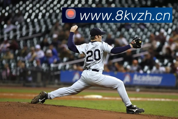 hth网页版官方入口APP 封面图